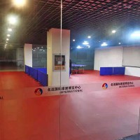 藍布紋乒乓球運動地膠 比賽用紅布紋運動地板